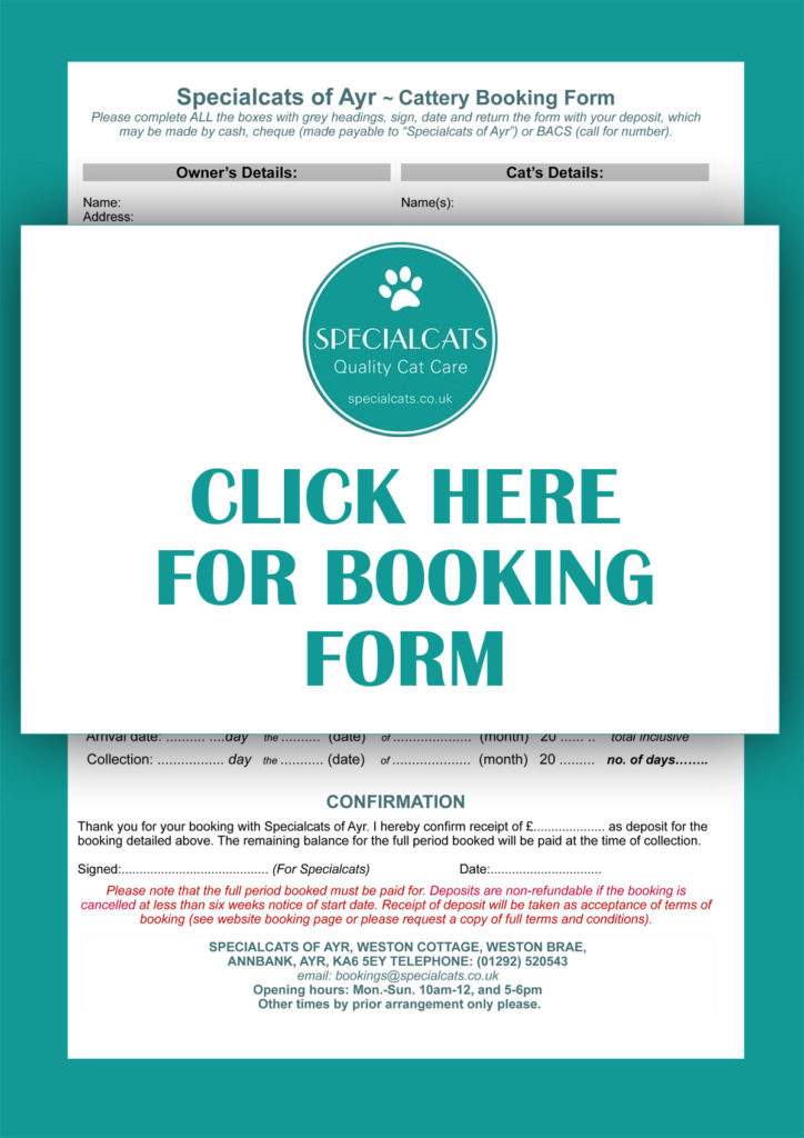 Specialcats-booking-form-pdf-link