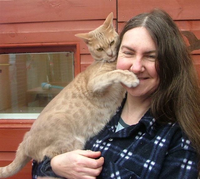 Rosie and Oscar from Specialcats of Ayr